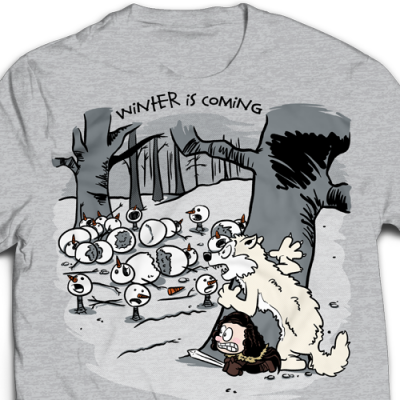 Winter Is Coming Ladies T-Shirt